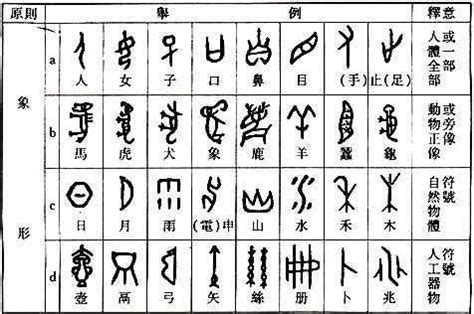 竹 造字法則|六書